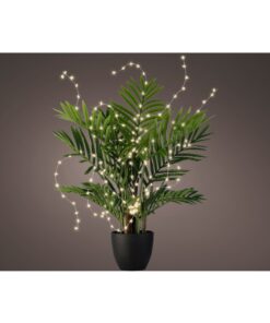 svetelna-dekoracia-plant-star-60led